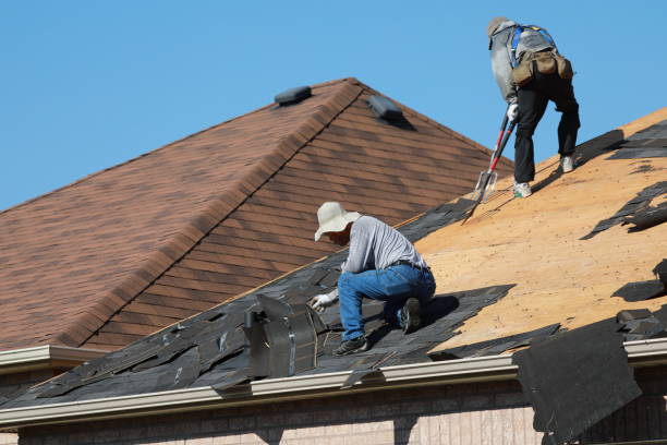 Best Roof Moss and Algae Removal  in Hebron, NE